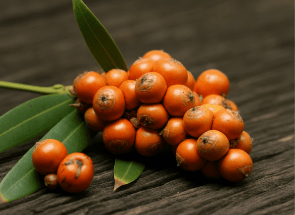 ViriFlow Ingredient5